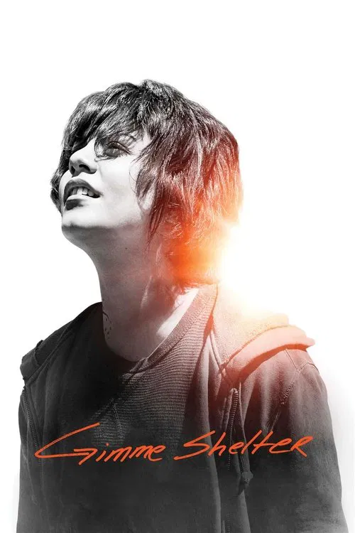 给我庇护(2013)海报