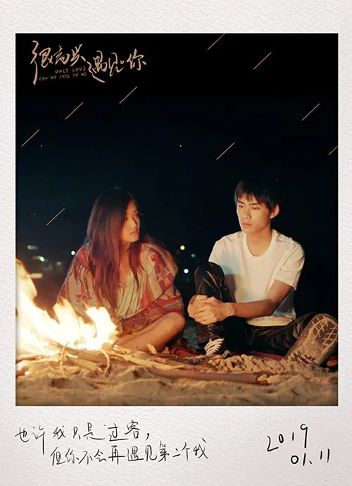 很高兴遇见·你(2019)海报