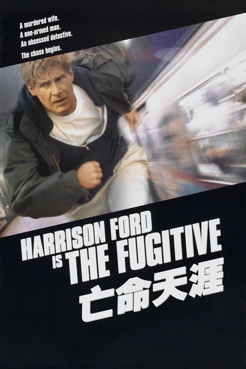 天命(1993)海报