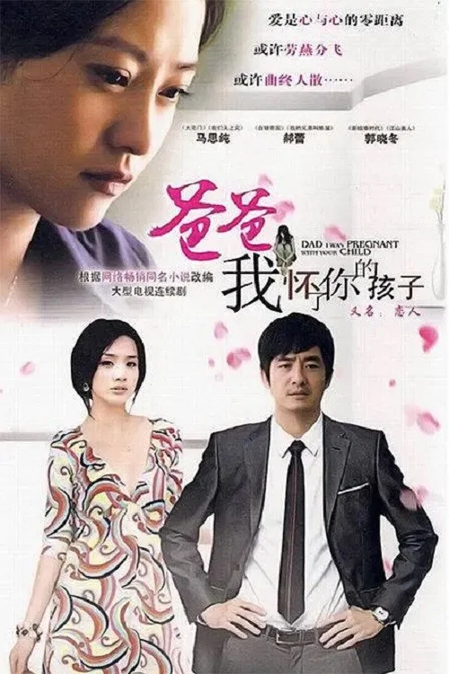 我怀了你的孩子(2010)海报