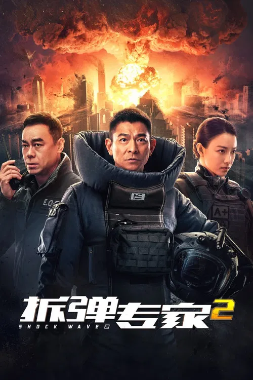 拆弹专家2(国语)(2020)海报