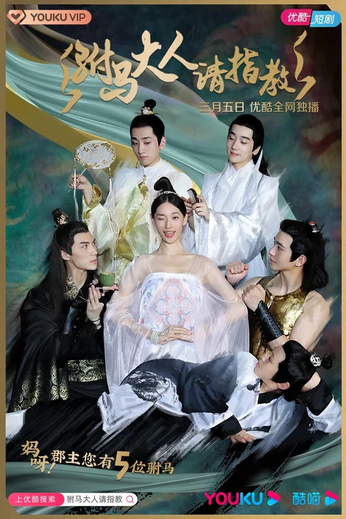 驸马大人请指教(2021)海报