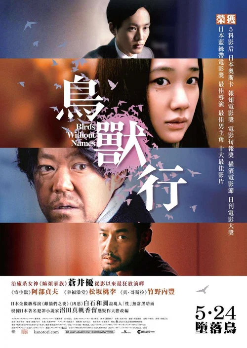 她不知道名字的那些鸟儿(2017)海报
