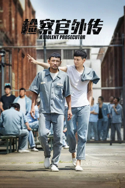 检察官外传(2016)海报