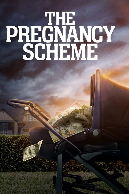 The Pregnancy Scheme(2023)海报