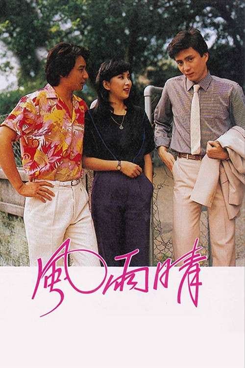 风雨晴(1981)海报