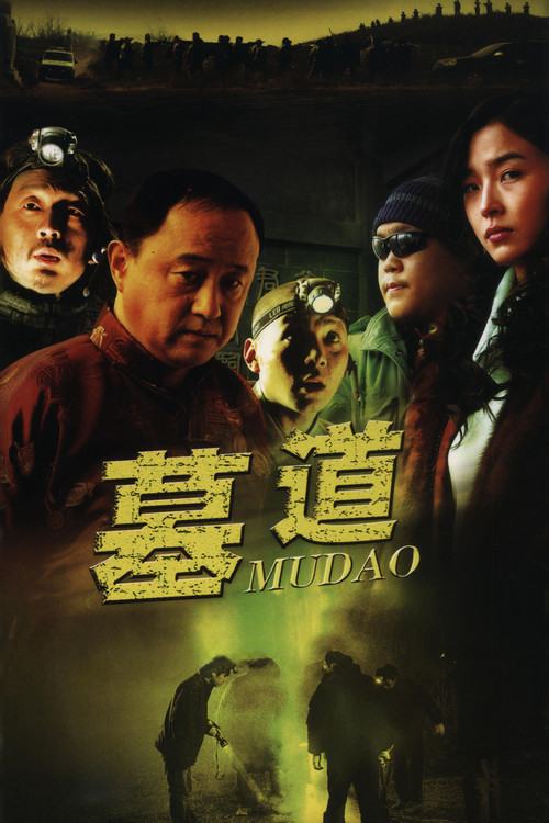 墓道(2007)海报