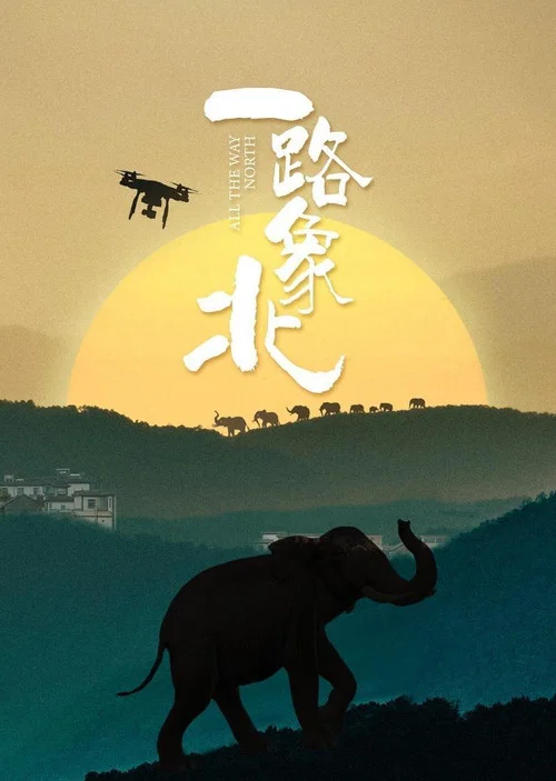 一路象北(2021)海报