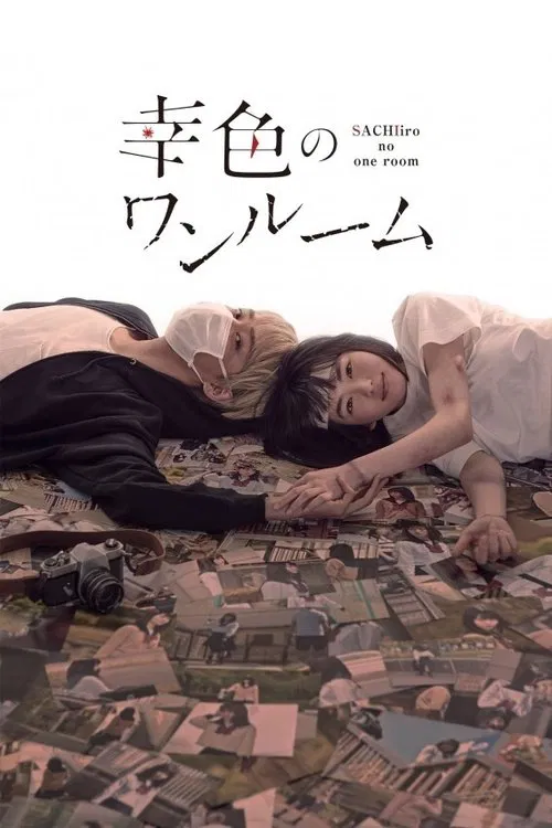 幸色的一居室(2018)海报