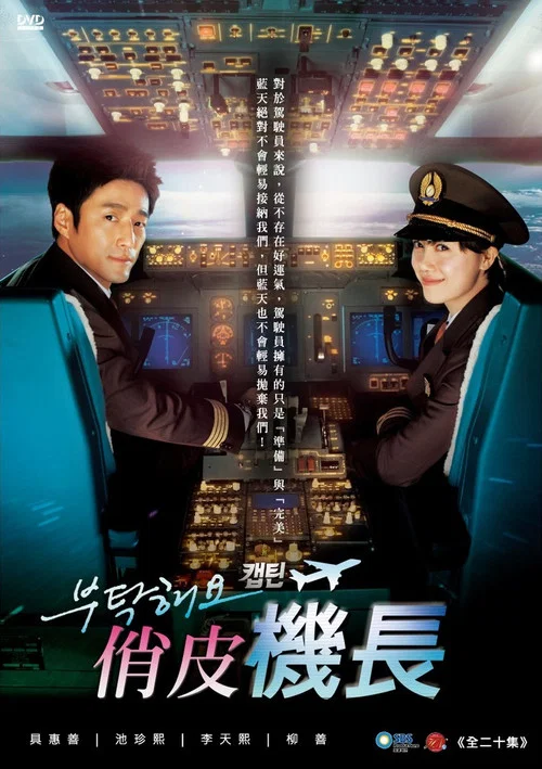 拜托了,机长(2012)海报