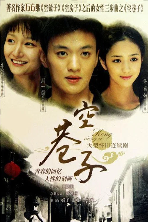 空巷子(2008)海报