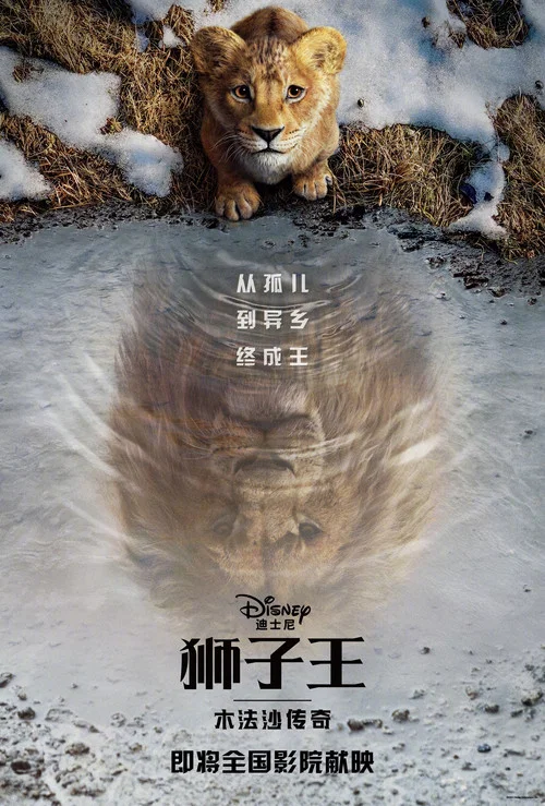 狮子王:木法沙传奇剧照3
