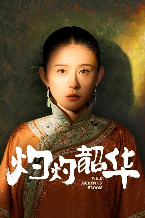 灼灼韶华剧照6
