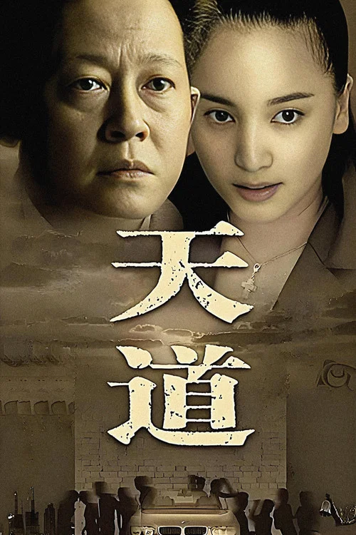 天道(2008)海报
