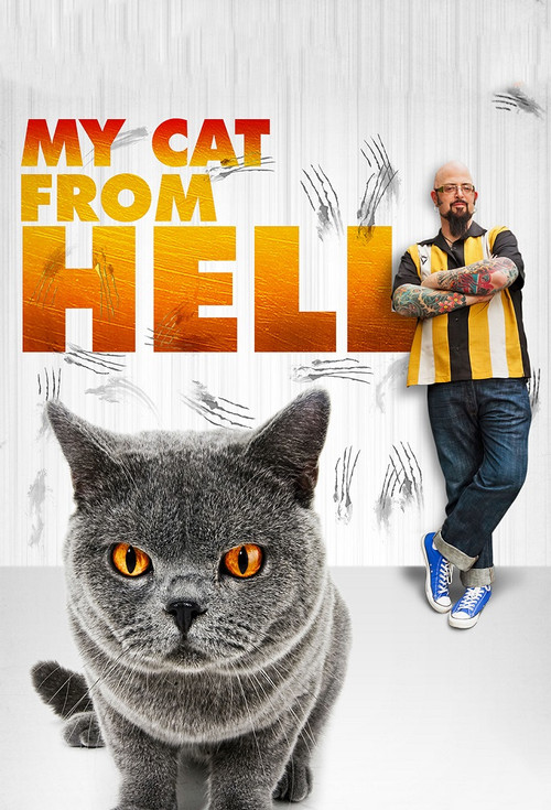 家有恶猫(2011)海报