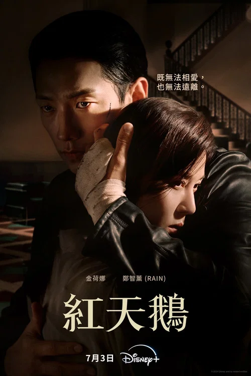 红天鹅剧照2