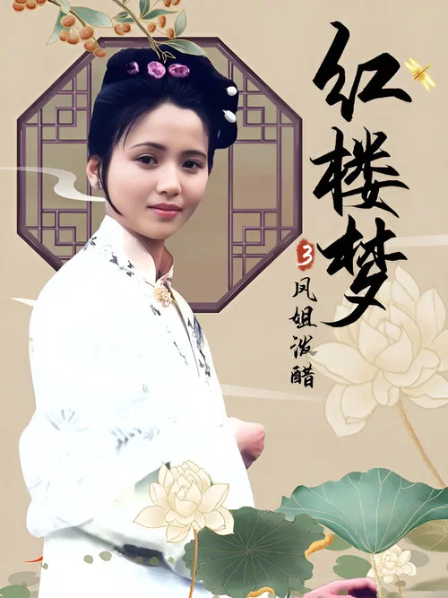 红楼梦第三部:凤姐泼醋(1989)海报