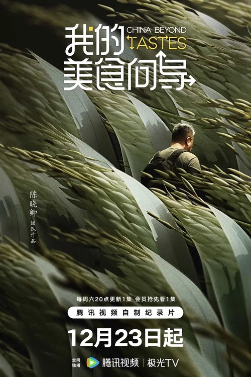我的美食向导剧照3