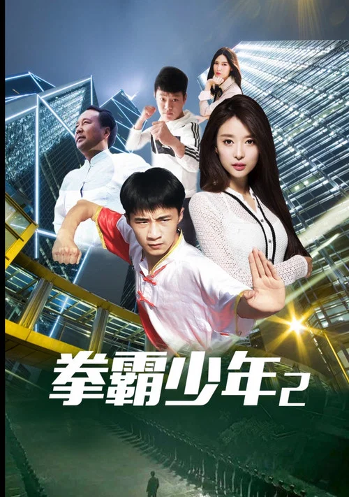 拳霸少年2(2020)海报