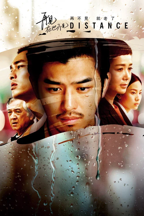 再见,在也不见(2016)海报