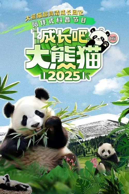 成长吧!大熊猫2025(2025)海报