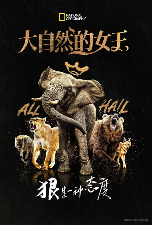 大女王(2024)海报