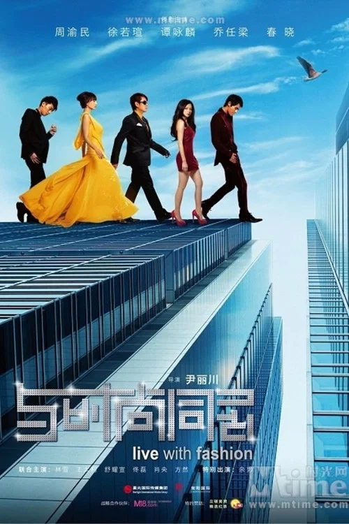 与时尚同居(2011)海报