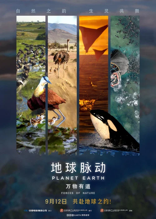 地球脉动 第三季剧照2