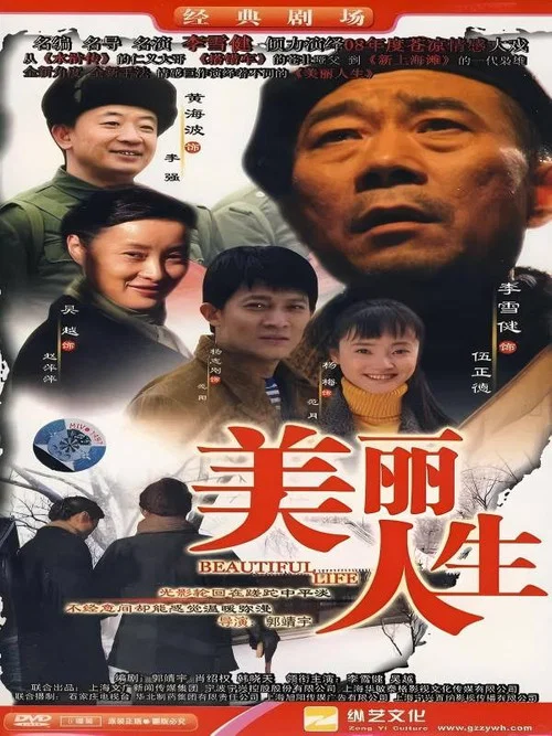 美丽人生(2008)海报