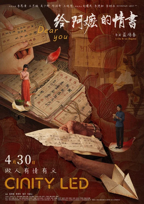 给阿嬷的情书剧照8