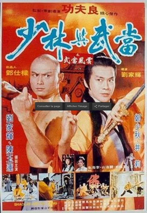 少林与武当粤语剧照2