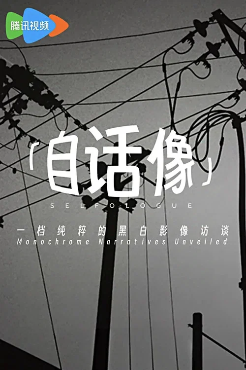 自话像(2025)海报