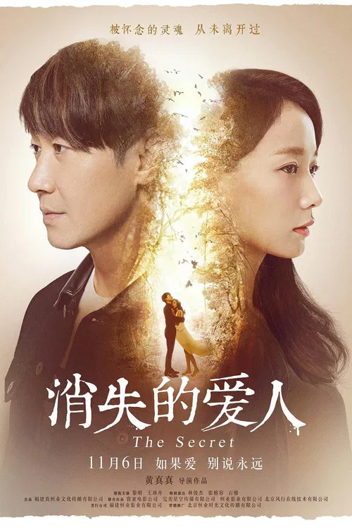 消失爱人(2016)海报