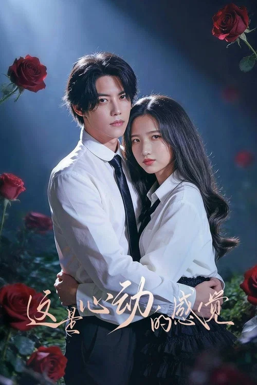 这是心动的感觉(2026)海报