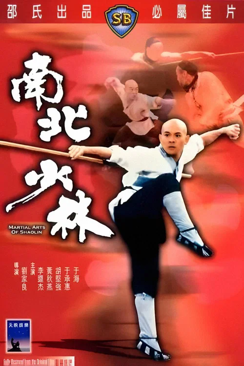 南北少林剧照12