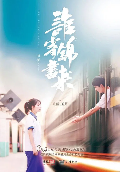 谁寄锦书来(2017)海报
