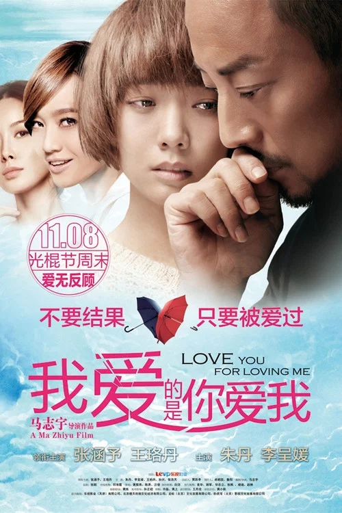 是我是我(2013)海报