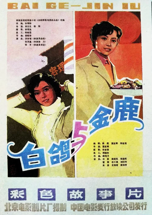 白鸽(1982)海报