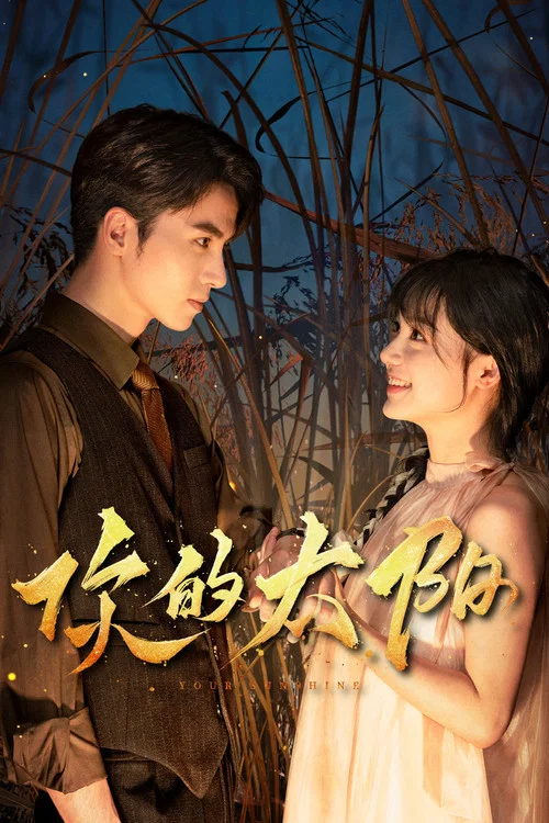 你的太阳(2025)海报