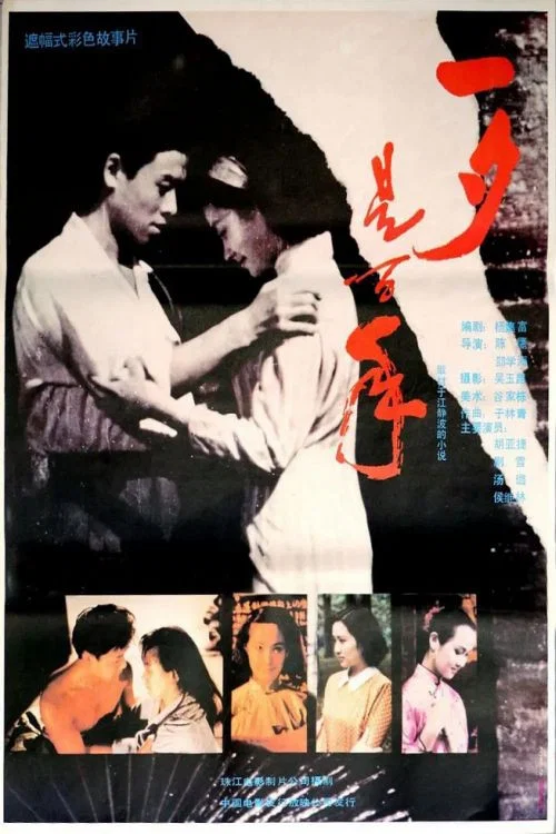 一夕是百年(1991)海报