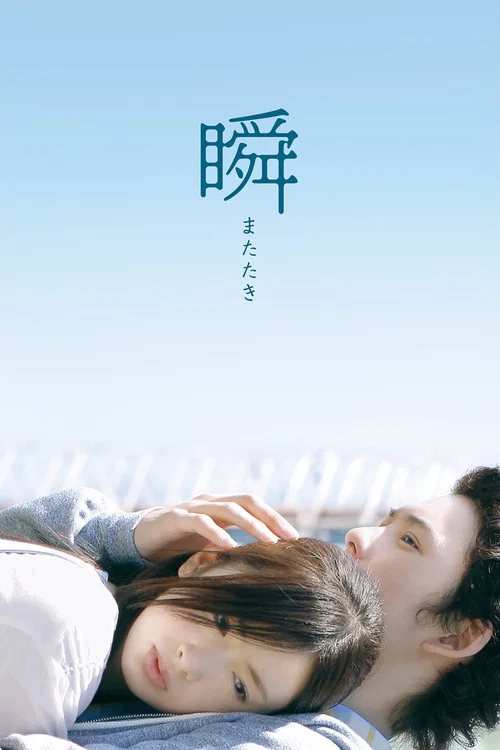 一眼瞬间,再见爱(2010)海报
