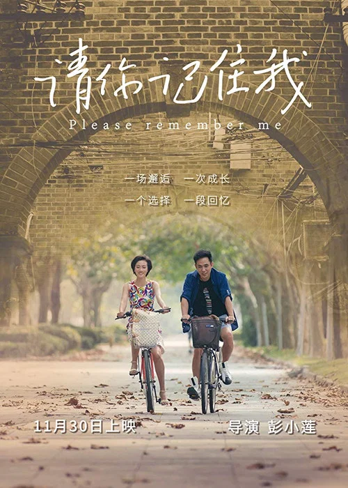 请你记住我(2017)海报