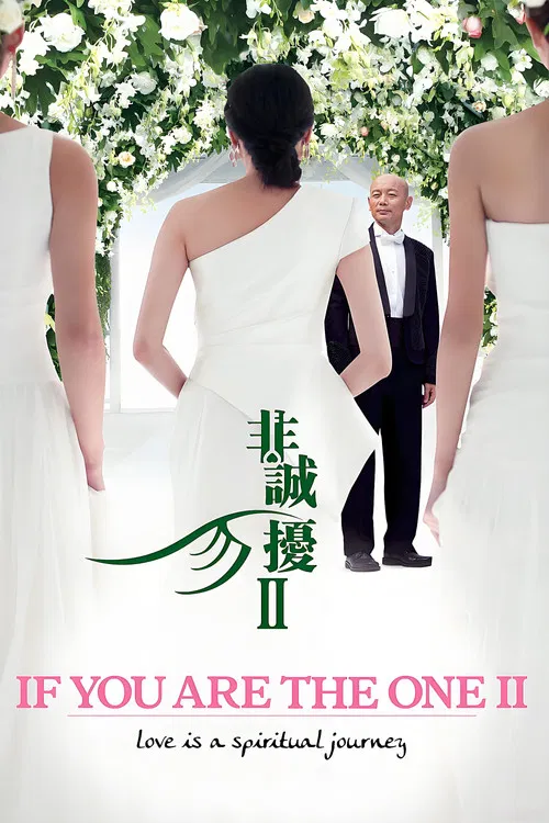 非诚勿扰2(2010)海报