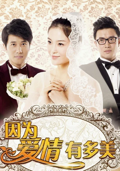 因为爱情有多美(2013)海报