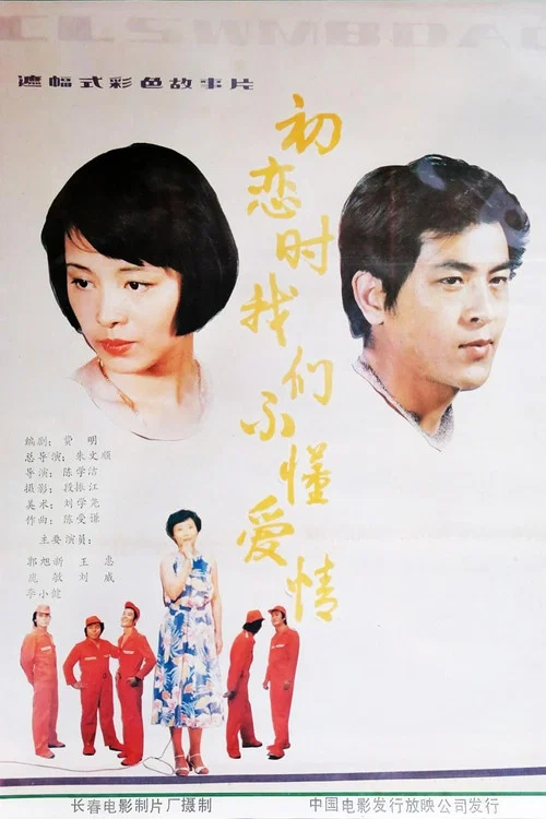 初恋时我们不懂爱情(1987)海报