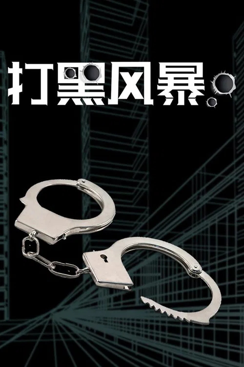 打黑风暴(2003)海报