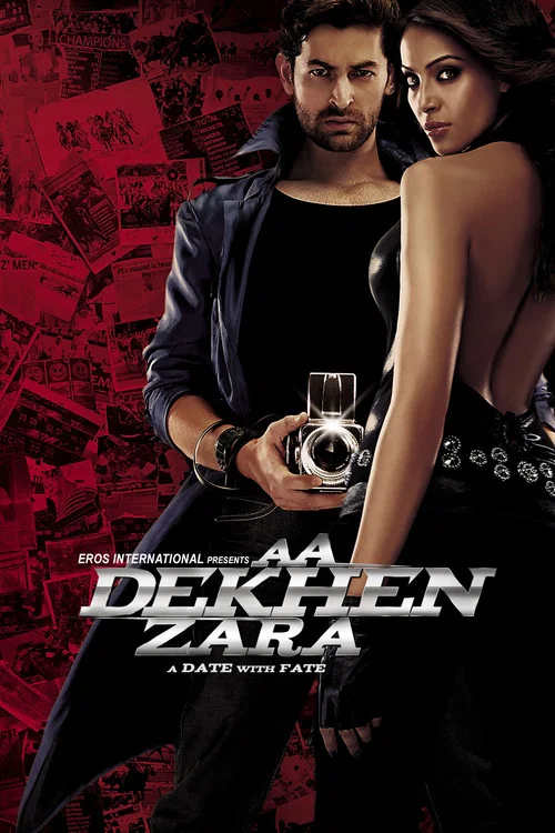 冻结的幸福(2009)海报