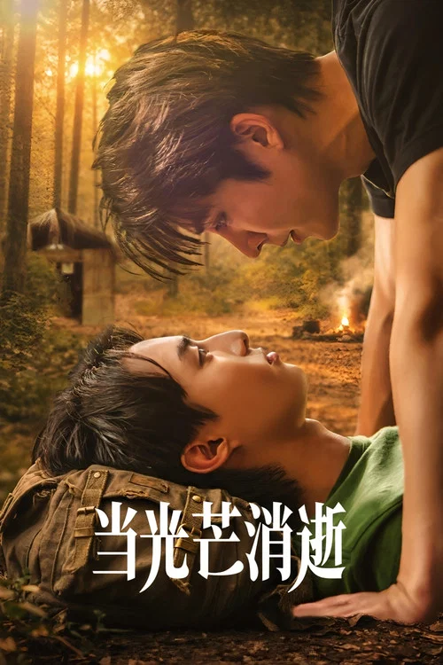 当光芒消逝(2026)海报