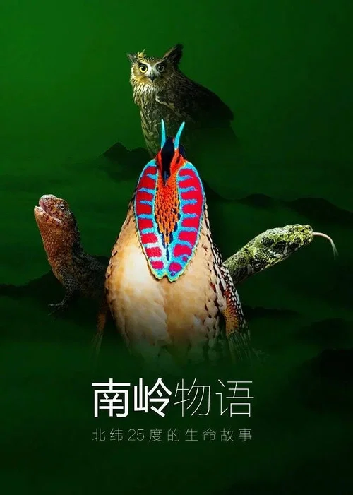 南岭物语(2021)海报