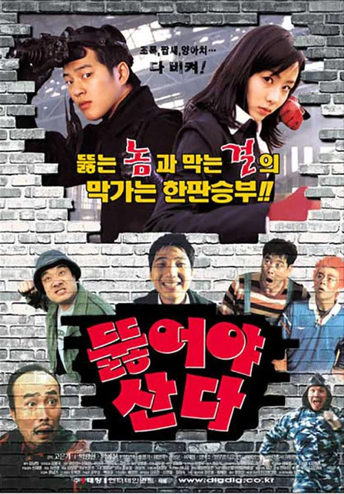 群雄夺宝(2002)海报